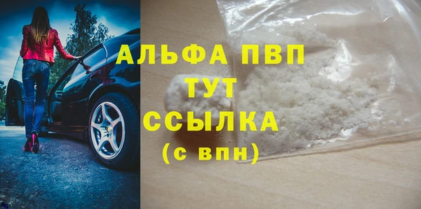 молекула духа Новодвинск