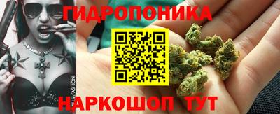 прущие грибы Берёзовский